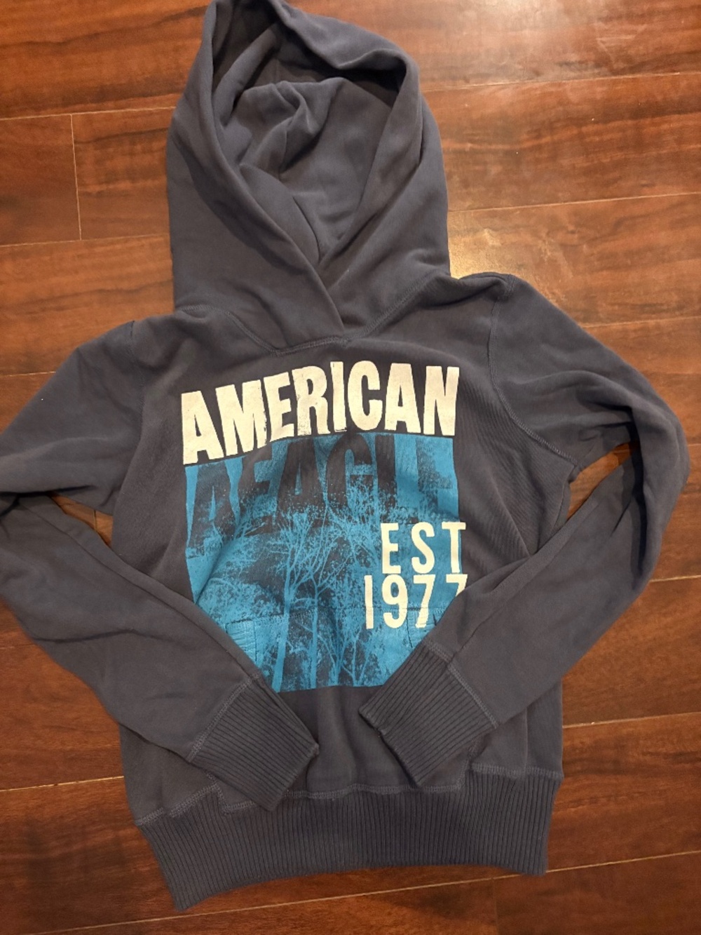 vintage american eagle hoodie with tree design on front